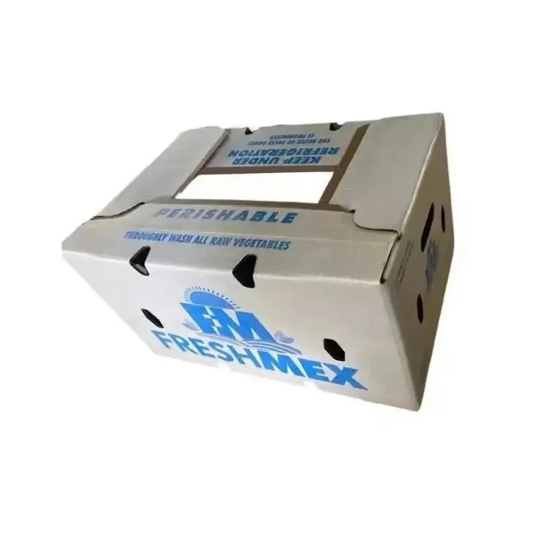 Argizarizko paper-kutxa biodegradagarria