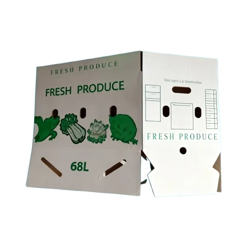 Argizaria birziklagarria den kaxa korrugatua